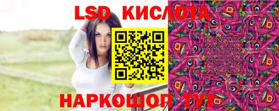 индика Рыбинск