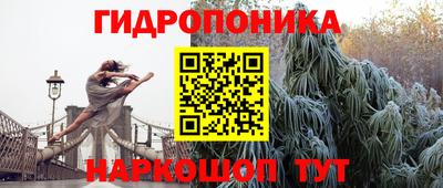 трава Пугачёв