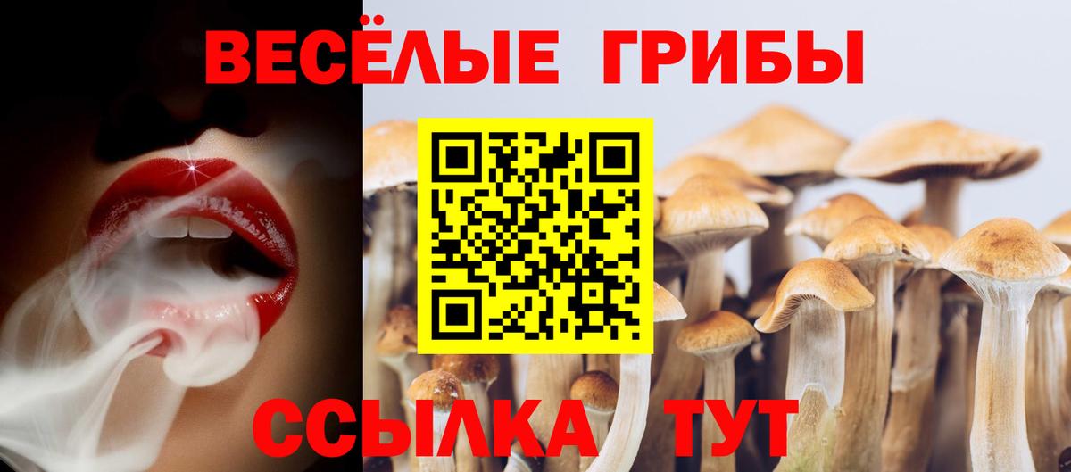 Псилоцибиновые грибы MAGIC MUSHROOMS Петрозаводск